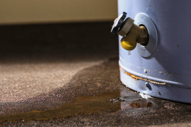 Best Fire Damage Restoration  in Wolfe City, TX