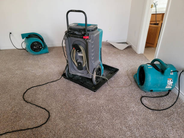 Best Water damage contractors near me  in Wolfe City, TX
