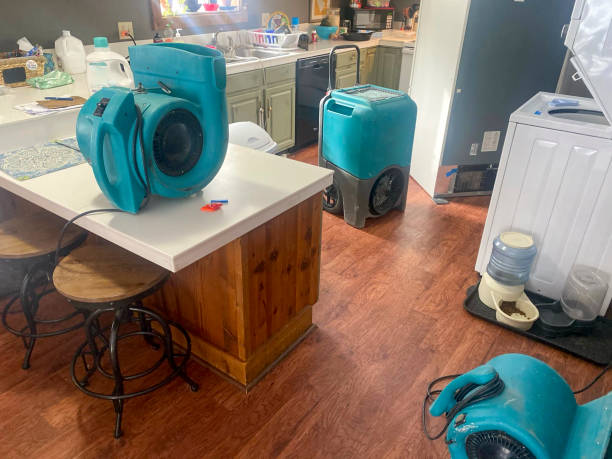 Best Ceiling water damage repair  in Wolfe City, TX