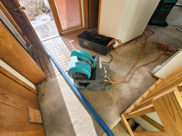 Fire Damage Restoration in Wolfe City, TX