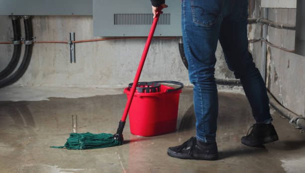 Best Commercial water damage restoration  in Wolfe City, TX