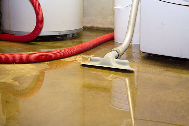 24/7 water damage repair in Wolfe City, TX